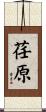 荏原 Scroll