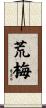 荒梅 Scroll