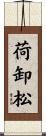 荷卸松 Scroll