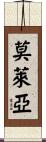 Molea Scroll