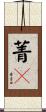 菁々 Scroll
