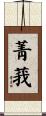 菁莪 Scroll