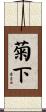 菊下 Scroll
