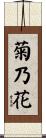 菊乃花 Scroll