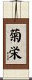 菊栄 Scroll