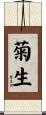 菊生 Scroll