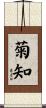 菊知 Scroll