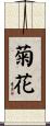菊花 Scroll