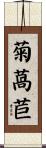 菊萵苣 Scroll