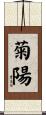 菊陽 Scroll