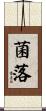 菌落 Scroll