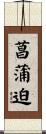 菖蒲迫 Scroll