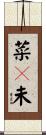 菜々未 Scroll