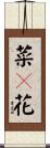 菜々花 Scroll