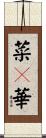 菜々華 Scroll