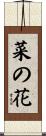 菜の花 Scroll