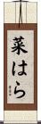 菜はら Scroll
