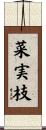 菜実枝 Scroll