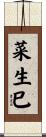 菜生巳 Scroll