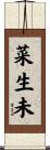 菜生未 Scroll