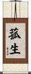 菰生 Scroll