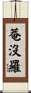 菴沒羅 Scroll