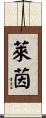 Rhine Scroll