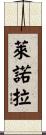 Lenora Scroll