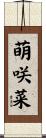 萌咲菜 Scroll
