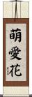 萌愛花 Scroll