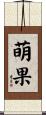 萌果 Scroll