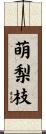 萌梨枝 Scroll