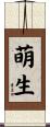 萌生 Scroll