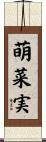 萌菜実 Scroll