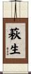 萩生 Scroll