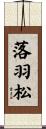 落羽松 Scroll