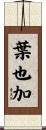 葉也加 Scroll