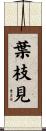 葉枝見 Scroll