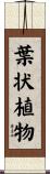 葉状植物 Scroll