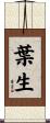 葉生 Scroll