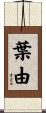 葉由 Scroll