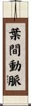 葉間動脈 Scroll