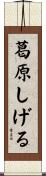 葛原しげる Scroll