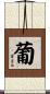 葡 Scroll