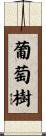 葡萄樹 Scroll
