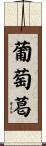 葡萄葛 Scroll