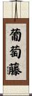 葡萄藤 Scroll