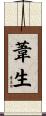 葦生 Scroll