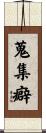 蒐集癖 Scroll