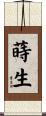 蒔生 Scroll